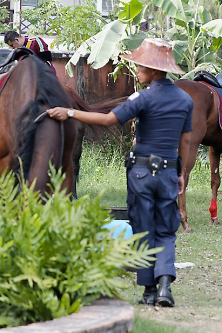 Muang Boran-2008-100